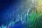 ELMT Stock Soars Premarket: Elmet Lands $450M US Investment, $2B Defense Contract