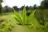Curaleaf Rejects Aurora Defense, Reiterates $4 Premium Offer  
