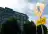 MU, SNDK Stocks Pull Back After Notching Fresh Peaks — Why Analysts Are Boosting Price Targets Anyway