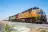 Why Did CSX, UNP, NVCR Stocks Surge To 52-Week Highs Today? 