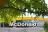 MCD Stock Rises Premarket: Retail Turns 'McGreedy' Even As This Analyst Cuts Target Price